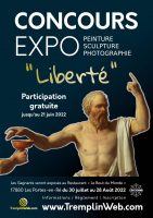 TremplinWeb.com - Créateur de Site internet sur mesure